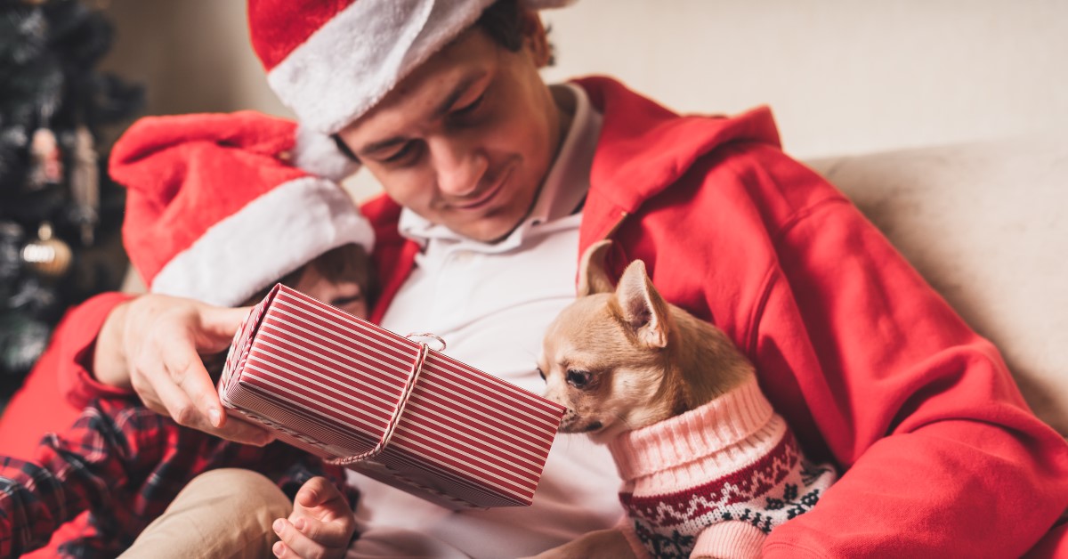 2024 Pet Holiday Gift Guide